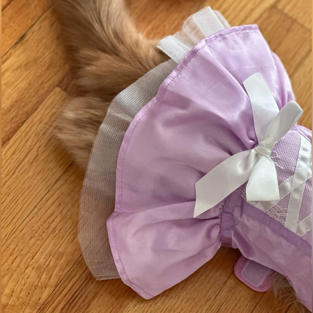 Cat princess Halloween costume